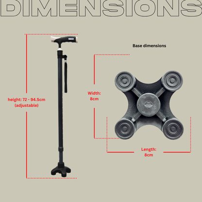 Lifeplus Smart Walking Stick