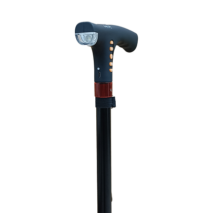 Lifeplus Smart Walking Stick with Radio