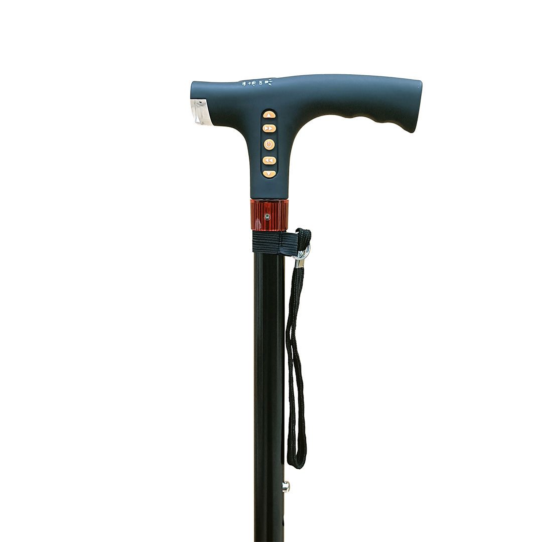 Lifeplus Smart Walking Stick with Radio